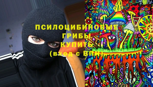 a pvp Михайловск