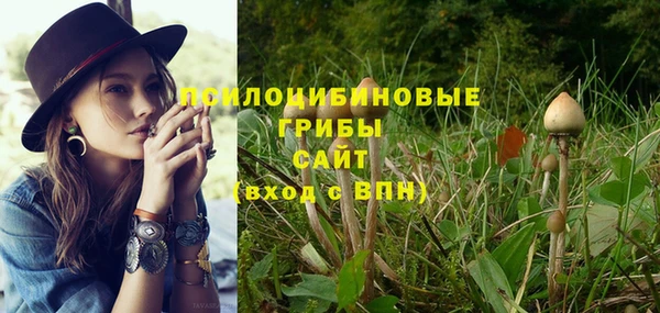 a pvp Михайловск