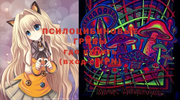 a pvp Михайловск